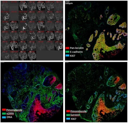 Hyperion Imaging Mass Cytometer image